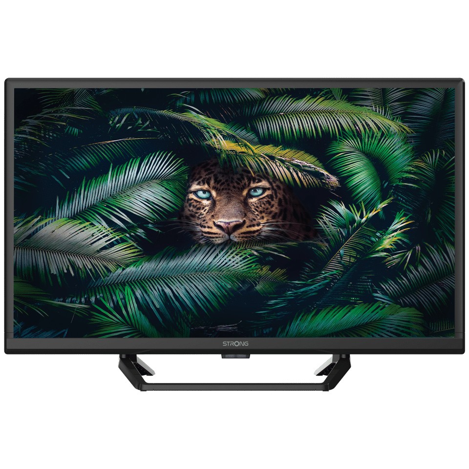 TV STRONG LED SRT24HE4023C (61 cm, HD Ready, IQR 100, DVB-T2/C/S2, 12V, HDMI, USB, CI, energetski razred E)-8