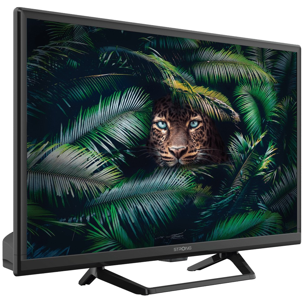 TV STRONG LED SRT24HE4023C (61 cm, HD Ready, IQR 100, DVB-T2/C/S2, 12V, HDMI, USB, CI, energetski razred E)-21