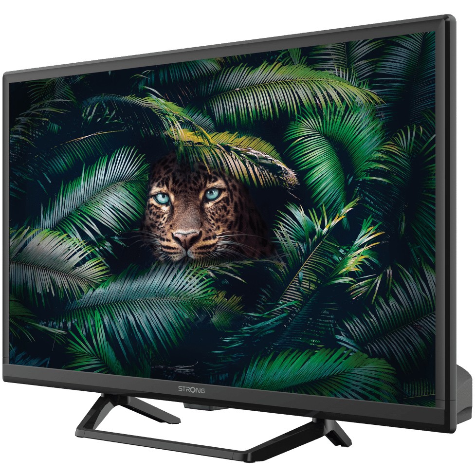 TV STRONG LED SRT24HE4023C (61 cm, HD Ready, IQR 100, DVB-T2/C/S2, 12V, HDMI, USB, CI, energetski razred E)-22