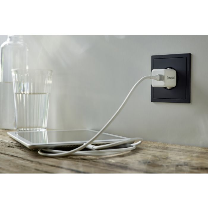 (Intenso) Punjač kučni, brzi, USB-C, 3A, 30W - Power Adapter W30C Gan-4