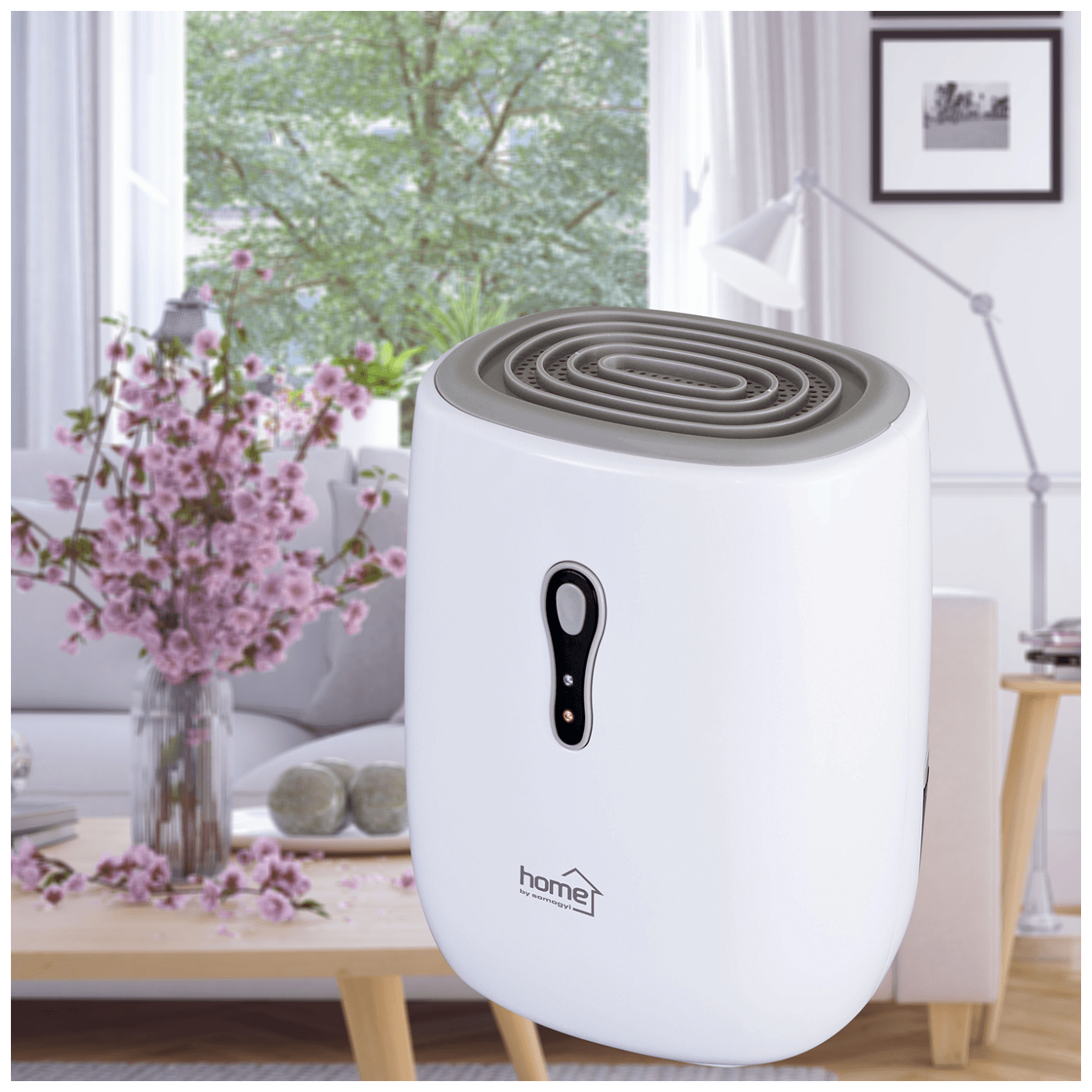 Isušivač HOME DHM 300 300 ml / 24 h-1