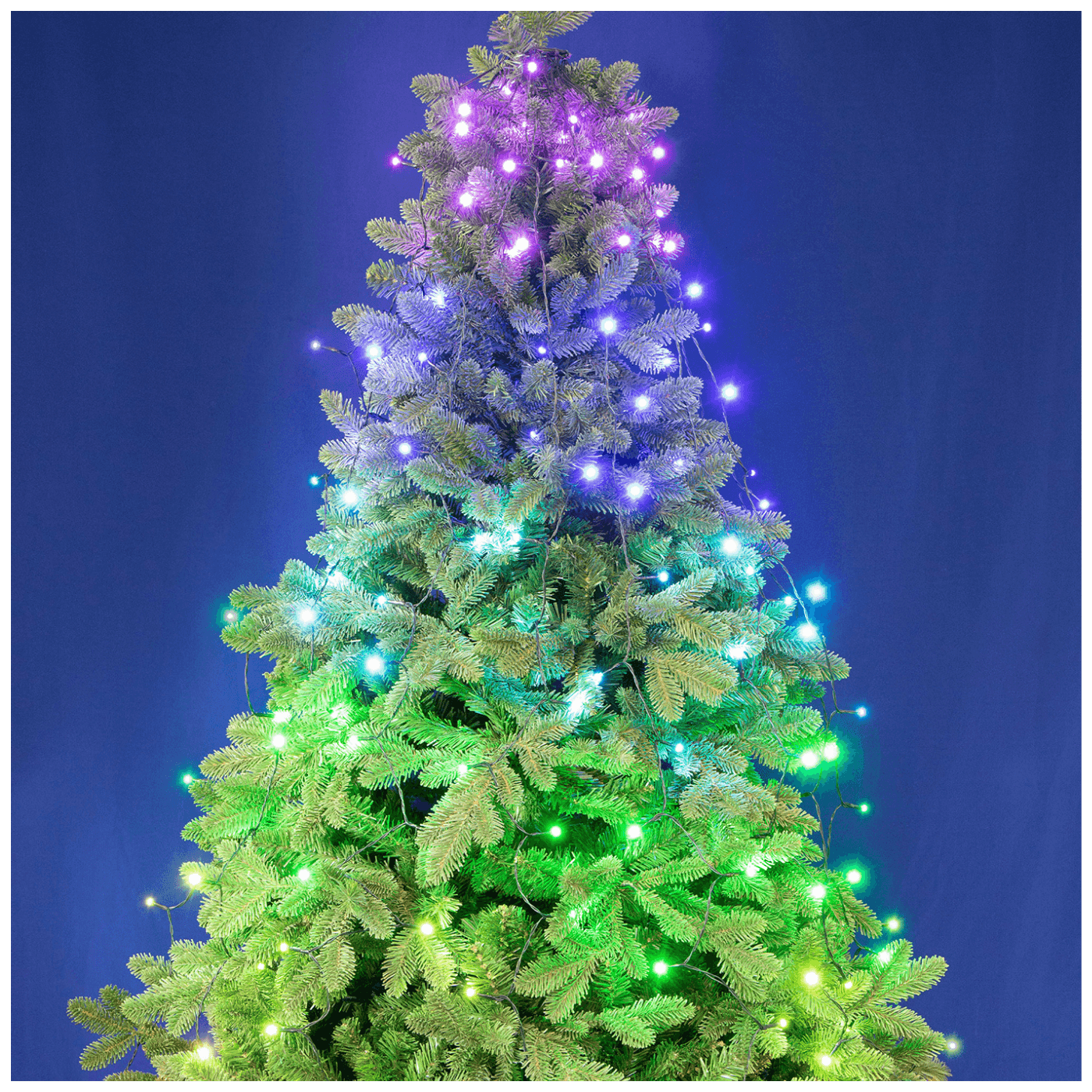Dekorativna LED rasvjeta HOME iSparkle RGB LED svjetlosni niz - LEDS144C-APP-0