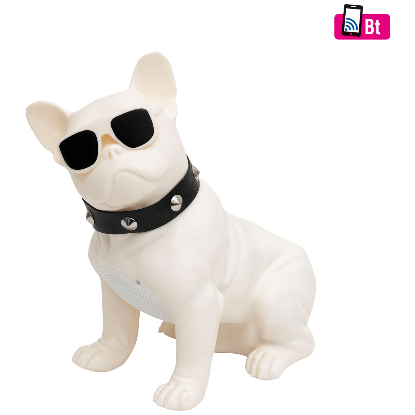Bluetooth zvučnik SAL BT DOG FM radio, USB, 5W