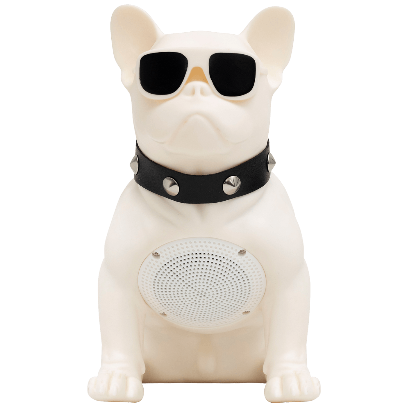 Bluetooth zvučnik SAL BT DOG FM radio, USB, 5W-1