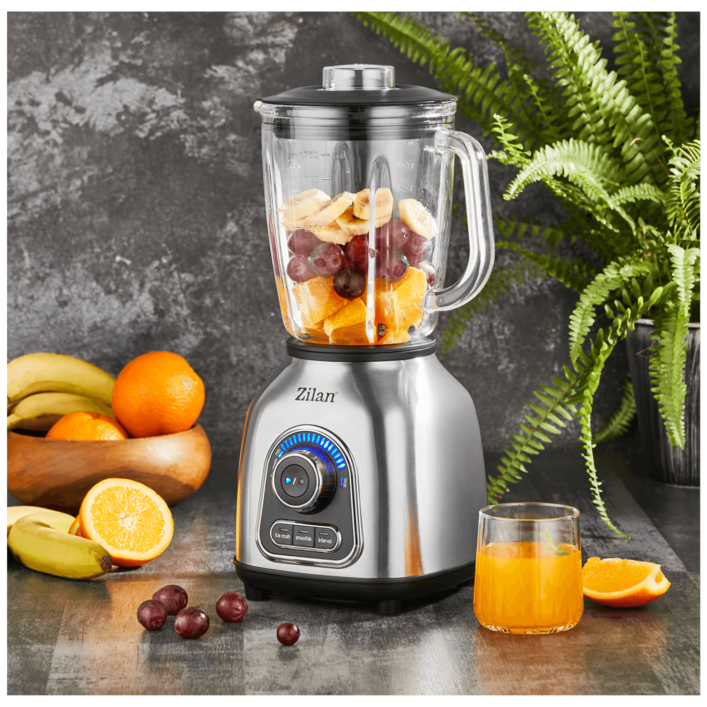 Blender ZILAN ZLN5596 (1,75 lit., 1400 W)-2