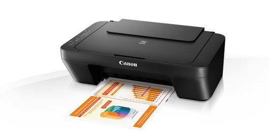 Canon multifunkcijski pisač Pixma MG2550S-0