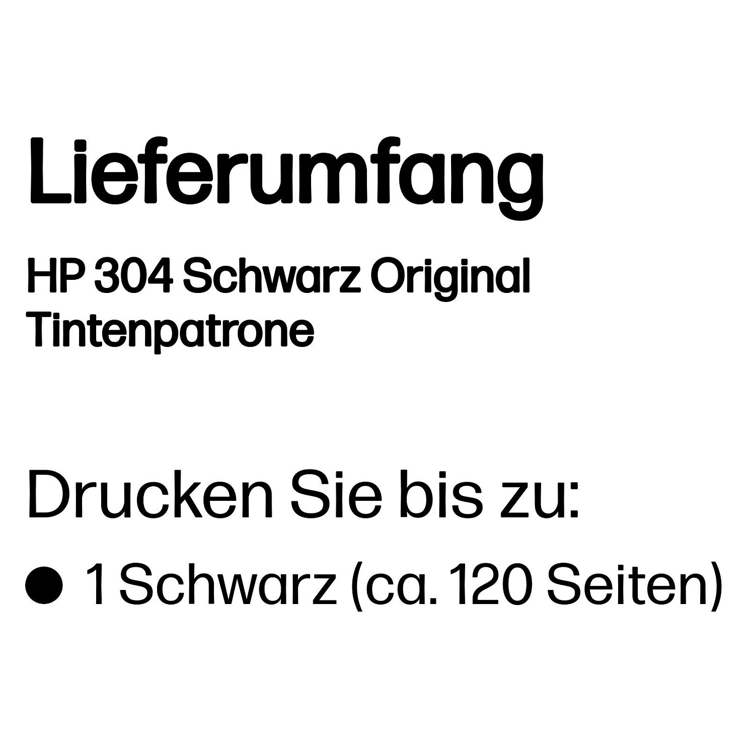 Tinta HP N9K06AE (NR. 304) crna-3