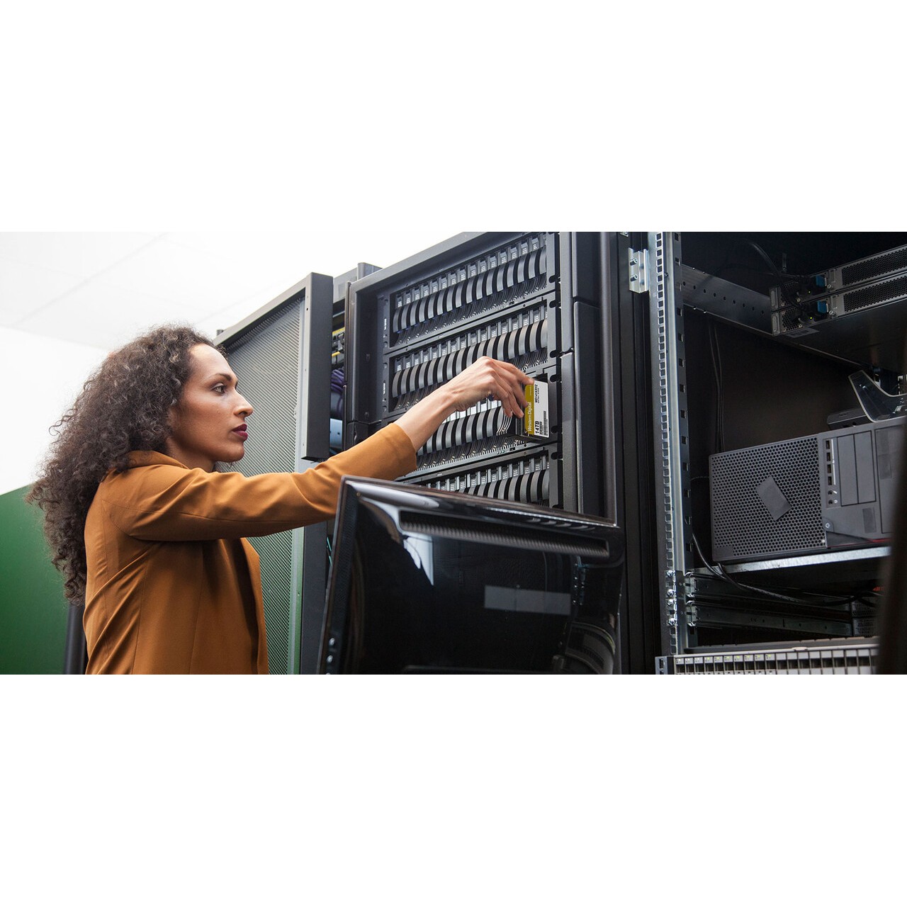 Hard Disk Western Digital Gold™ Enterprise Class 18TB-5