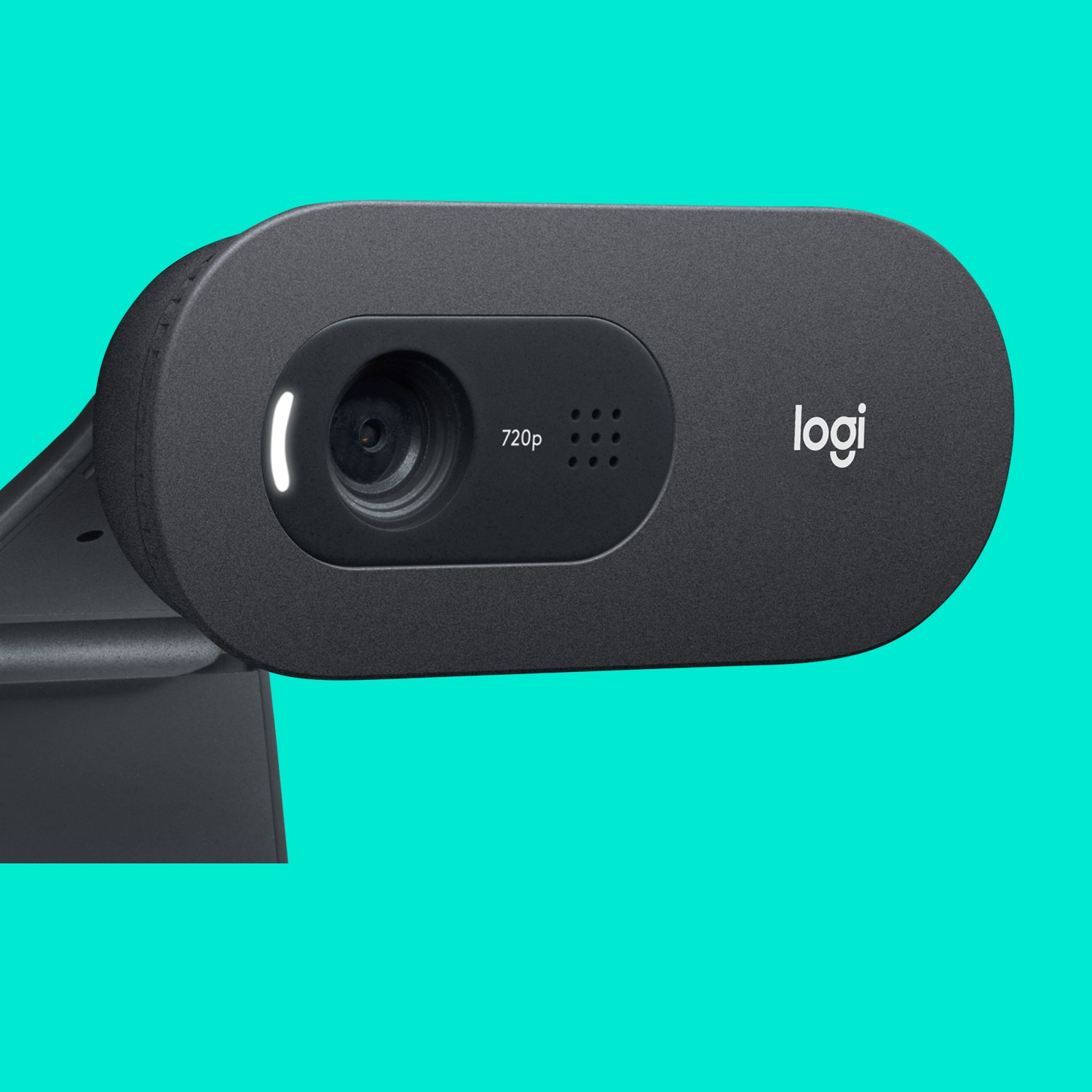 WEB kamera Logitech C505 HD-2