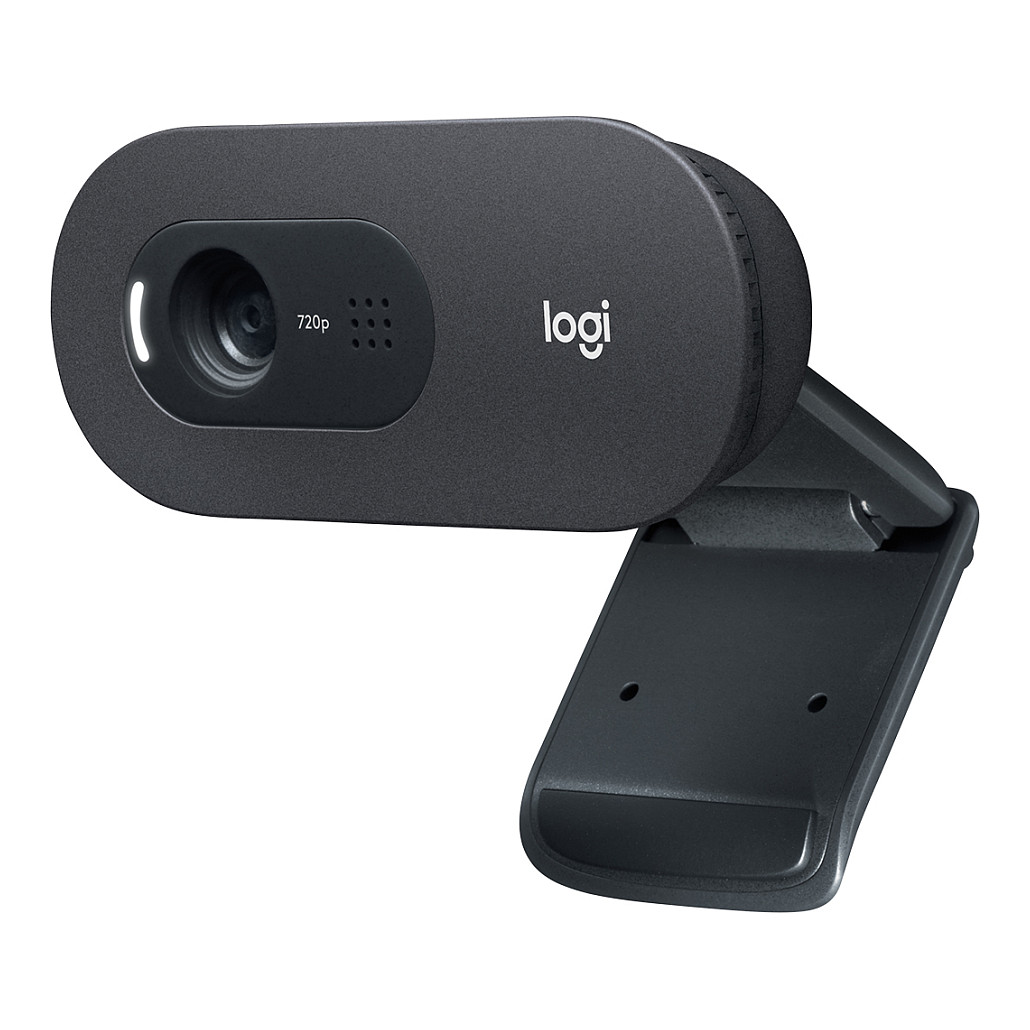 WEB kamera Logitech C505 HD-19