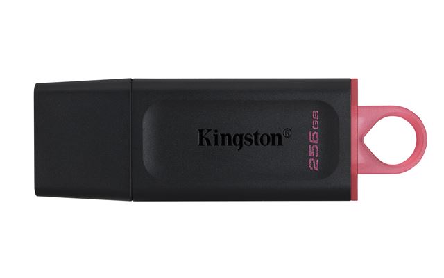 MEM UFD 256GB DTX KIN-0