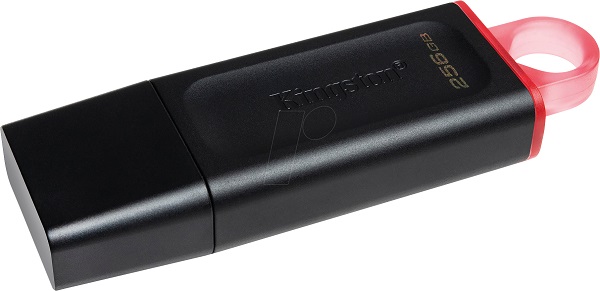 MEM UFD 256GB DTX KIN-1