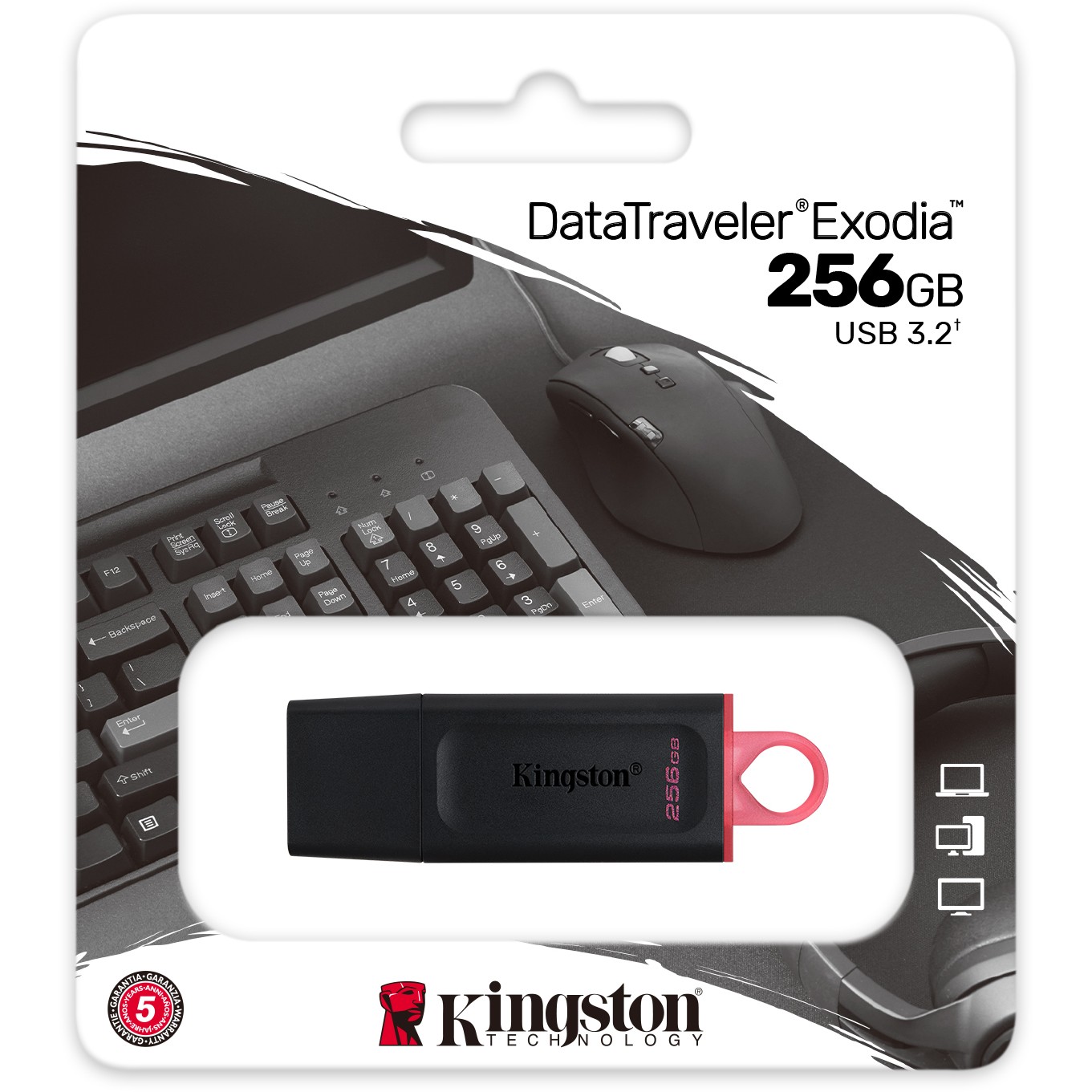 MEM UFD 256GB DTX KIN-9