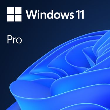 Microsoft Windows Pro 11 DSP/OEM engleski, DVD