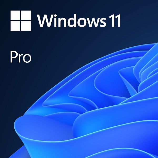 Microsoft Windows Pro 11 DSP/OEM engleski, DVD-3