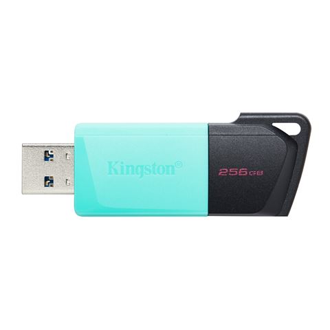 MEM UFD 256GB DTXM KIN-0