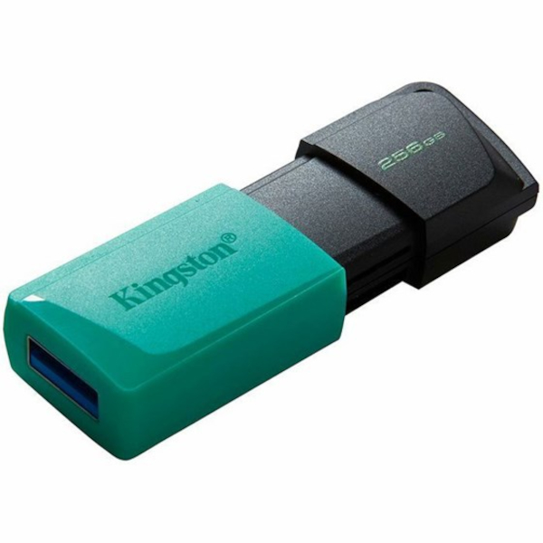 MEM UFD 256GB DTXM KIN-8