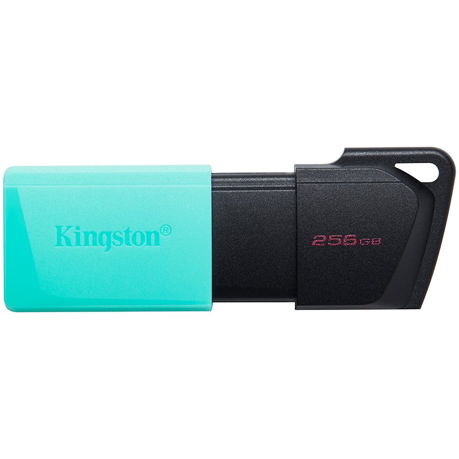 MEM UFD 256GB DTXM KIN-1