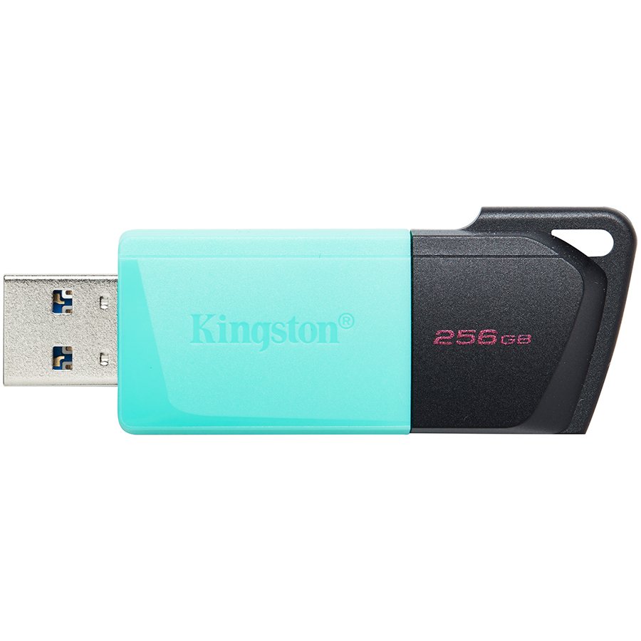MEM UFD 256GB DTXM KIN-2