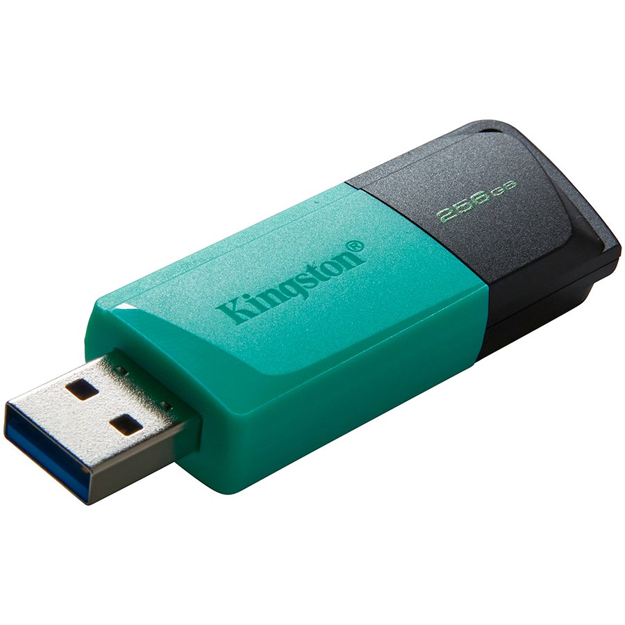 MEM UFD 256GB DTXM KIN-3