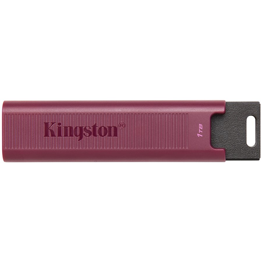 USB memorija KINGSTON DT Max Type-A 1TB-0