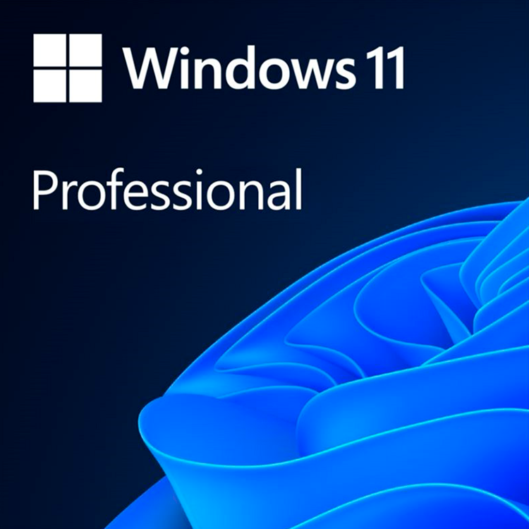 Microsoft Windows Professional 11 64-bit All Languages Online Product Key License 1 License Downloadable ESD NR-1