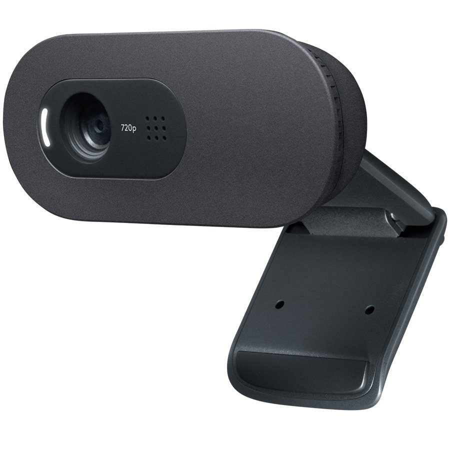 WEB kamera Logitech C505e HD-5