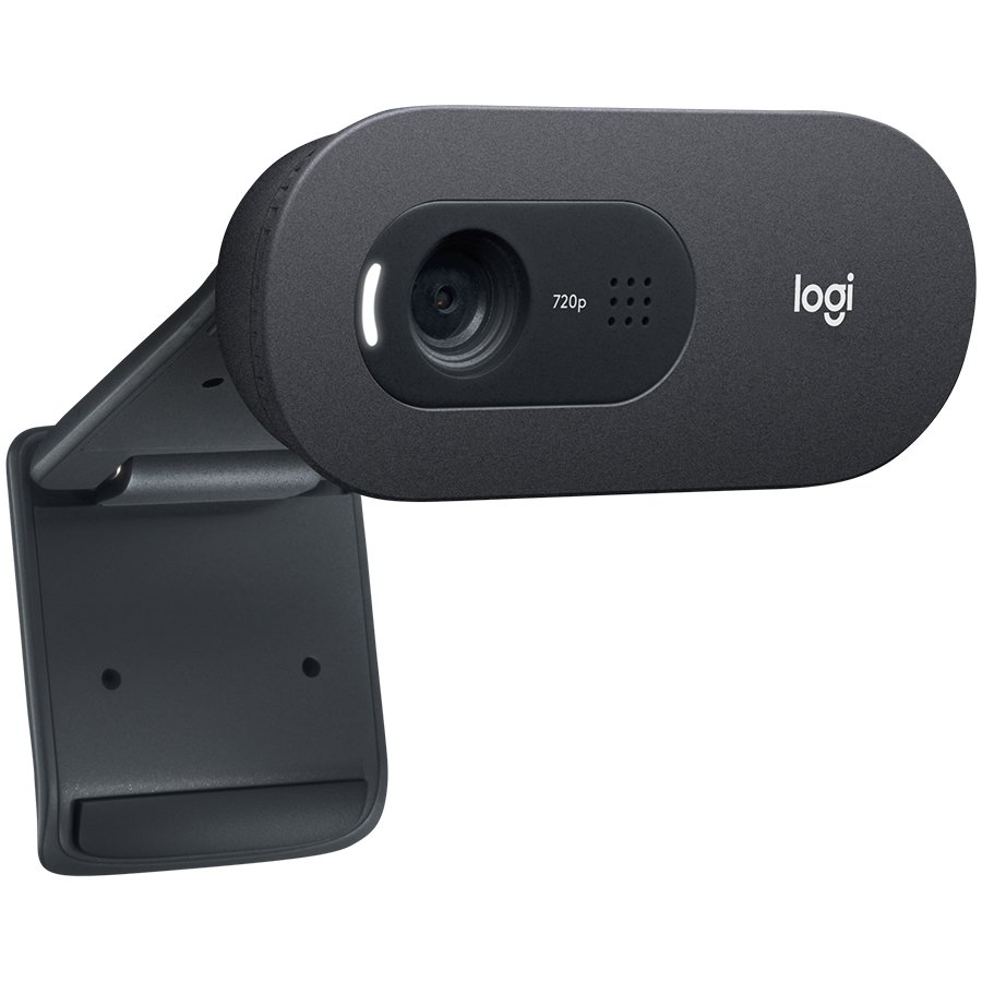 WEB kamera Logitech C505e HD-6