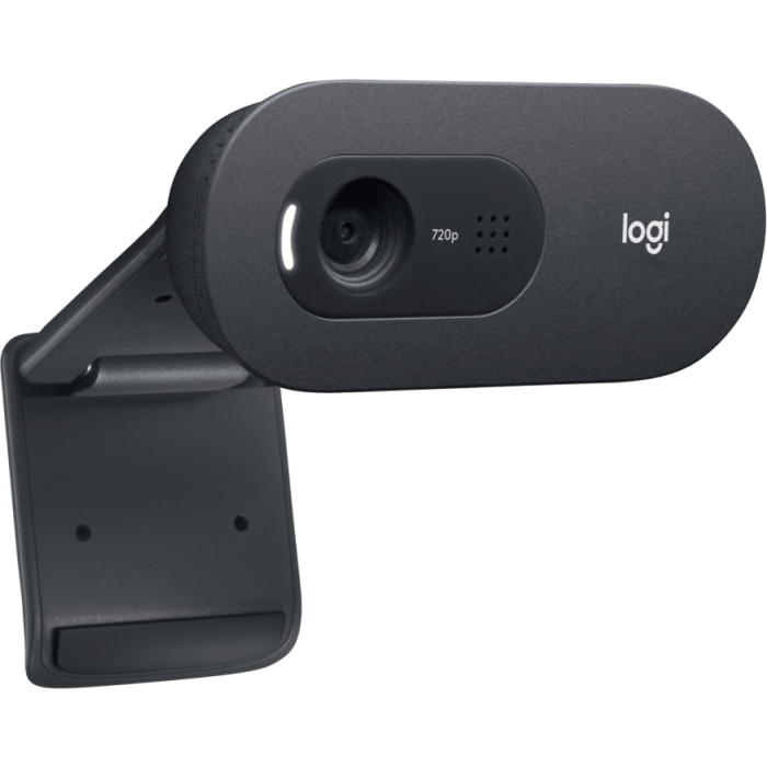 WEB kamera Logitech C505e HD-3