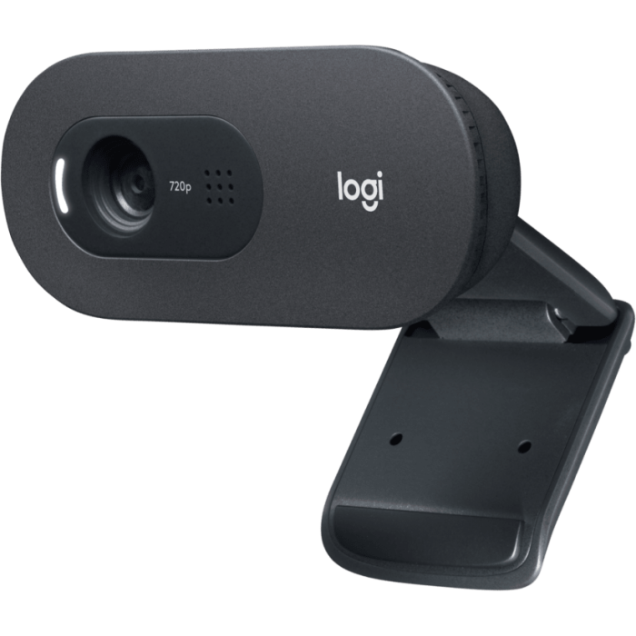 WEB kamera Logitech C505e HD-2