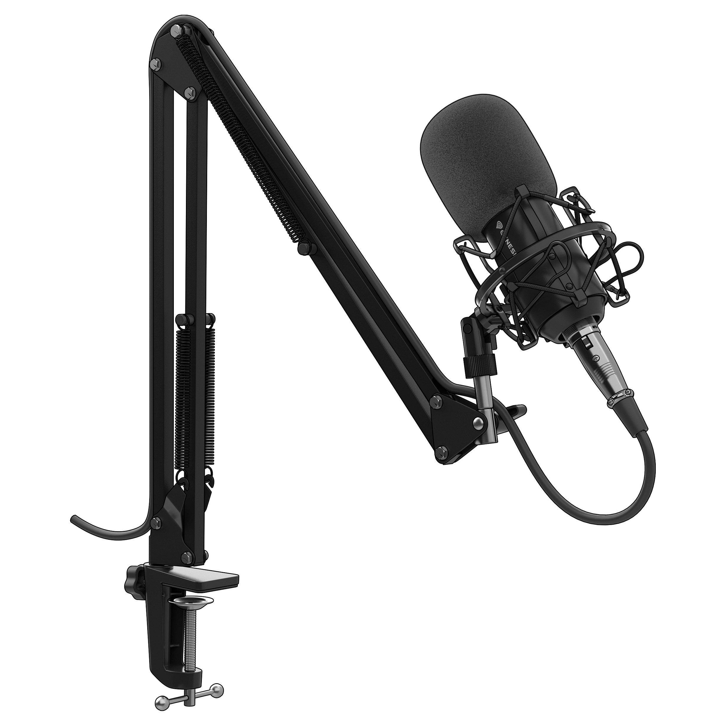 Genesis Radium 300 XLR, mikrofon-2