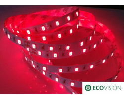 LED traka ECOVISION 0.5m, 3528, 60LED/m, 4.8W/m, 36V DC, crvena (4.8W/m, 60 LED/m, 36V DC, crvena, samoljepljiva)
