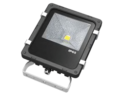 LED reflektor ECOVISION PRO 10W (750lm, 6000K, IP65, 50.000 sati, 30W Halogeni reflektor)