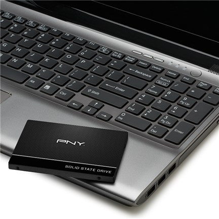 PNY CS900 2.5" 250 GB Serial ATA III 3D TLC-8