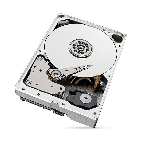 Unutarnji tvrdi disk SEAGATE Ironwolf Pro ST10000NT001 (3.5", 10000 GB)-12