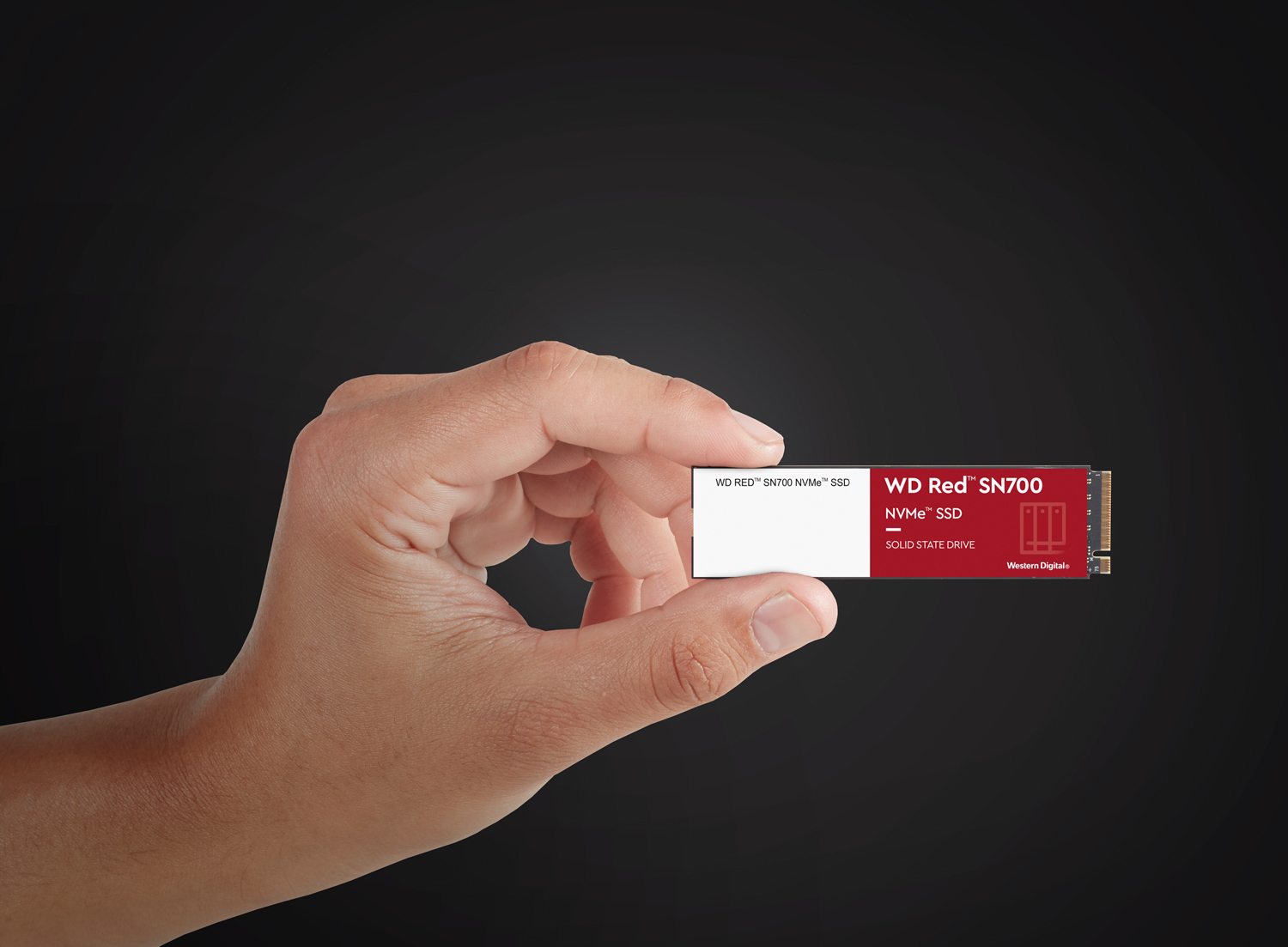 Tvrdi disk interni SSD WESTERN DIGITAL Red SN700 M.2 1000 GB, PCI Express 3.0 NVMe-3