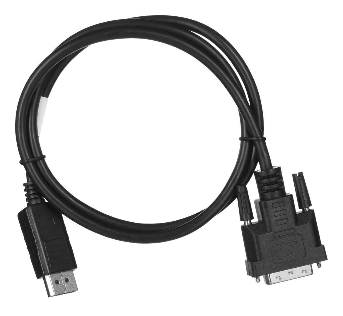 Video kabel adapter Lanberg CA-DPDV-10CU-0010-BK 1 m DisplayPort DVI-D crni-2
