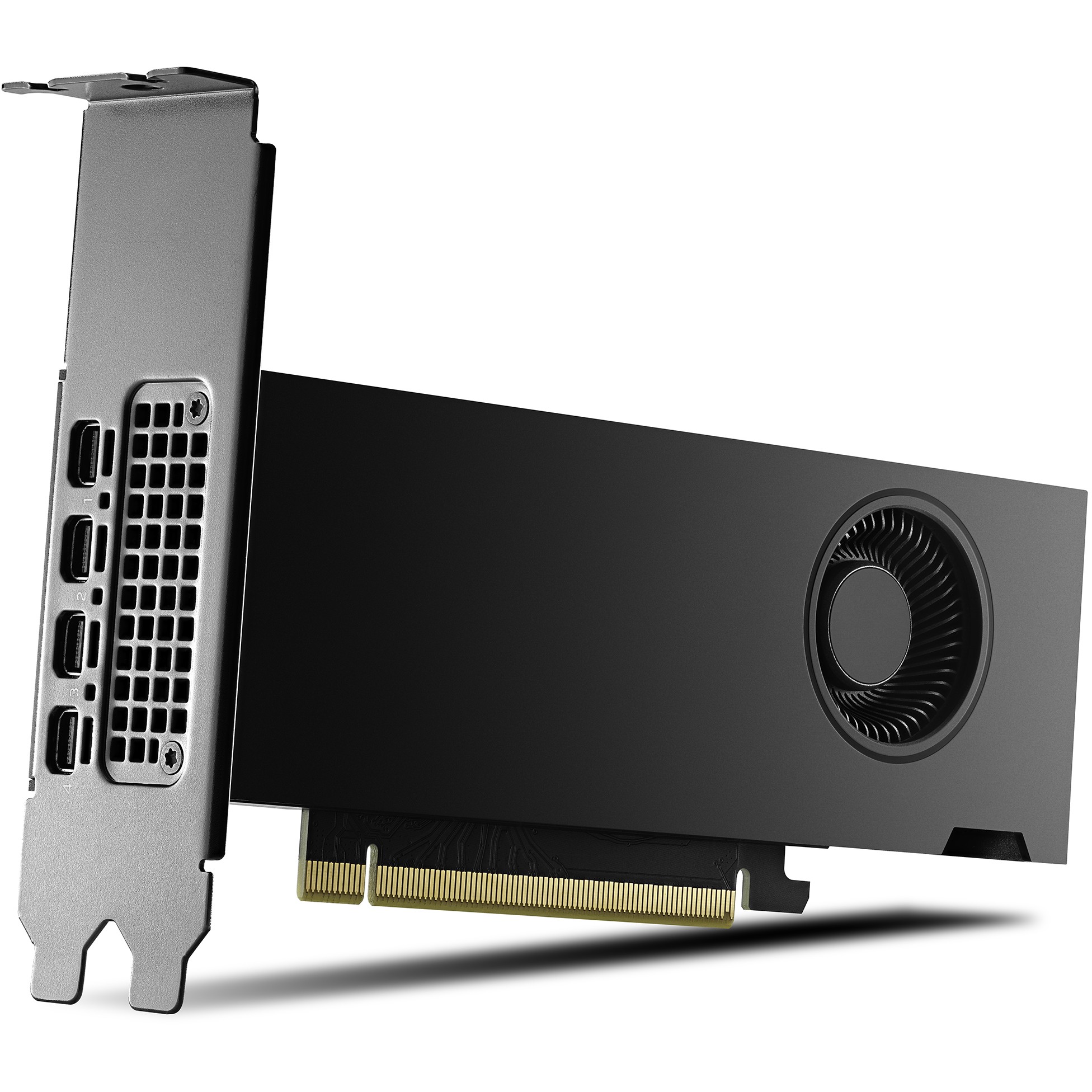 PNY NVIDIA 2000 Ada 16GB LowProfile, PCIe 4.0 x16, Dual Slot, 4x Mini DP 1.4a, 16 GB GDDR6 ECC 128-bit, HDCP 2.2, HDMI 2.0, small box-1