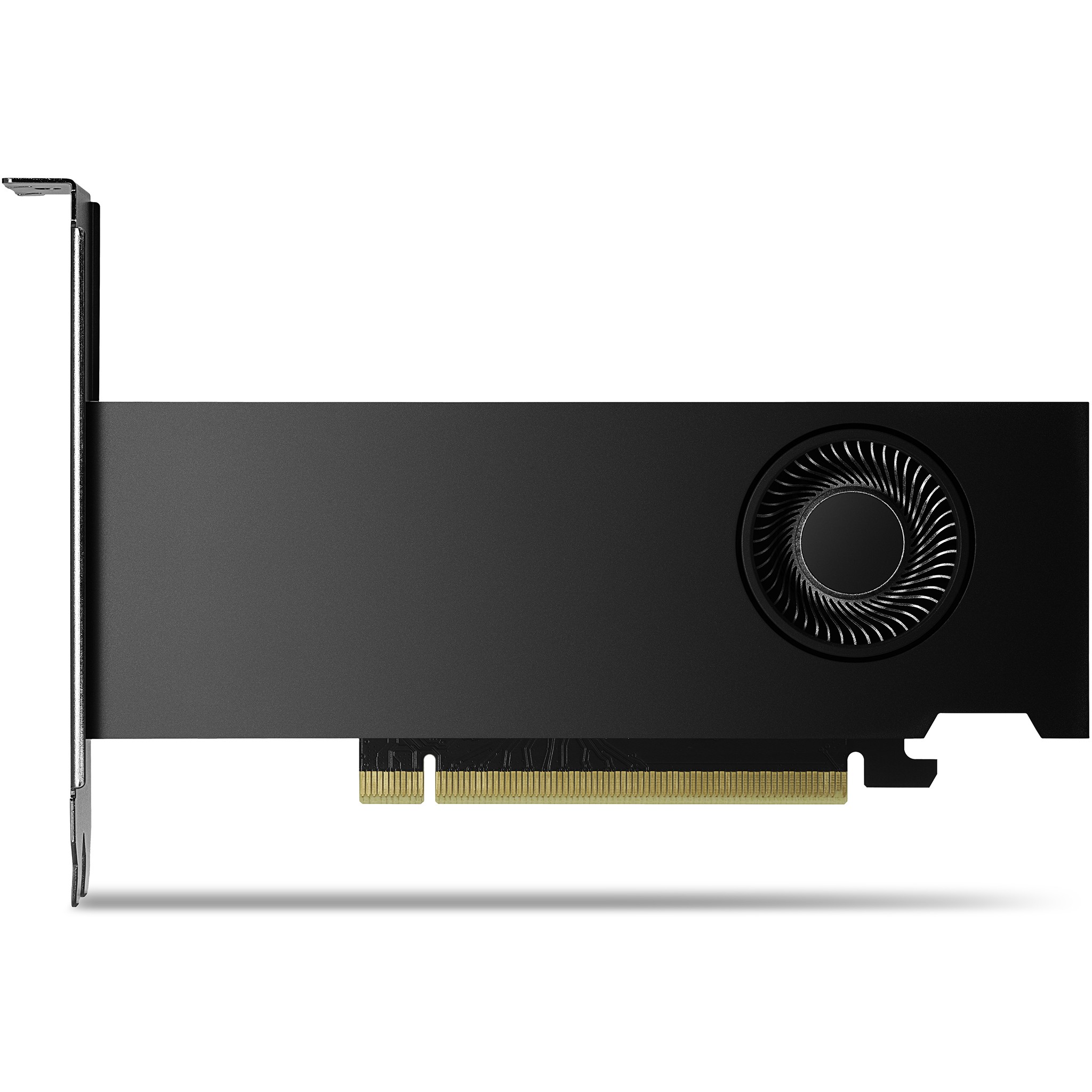 PNY NVIDIA 2000 Ada 16GB LowProfile, PCIe 4.0 x16, Dual Slot, 4x Mini DP 1.4a, 16 GB GDDR6 ECC 128-bit, HDCP 2.2, HDMI 2.0, small box-10