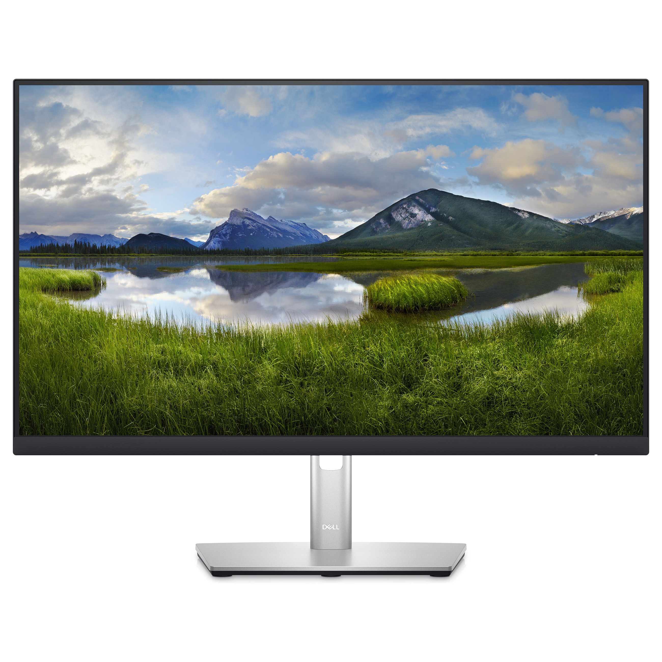 Monitor DELL Professional P2423D 24in (2560x1440, IPS, 8ms, 10001, HDMI, DP, USB 3.2)-5