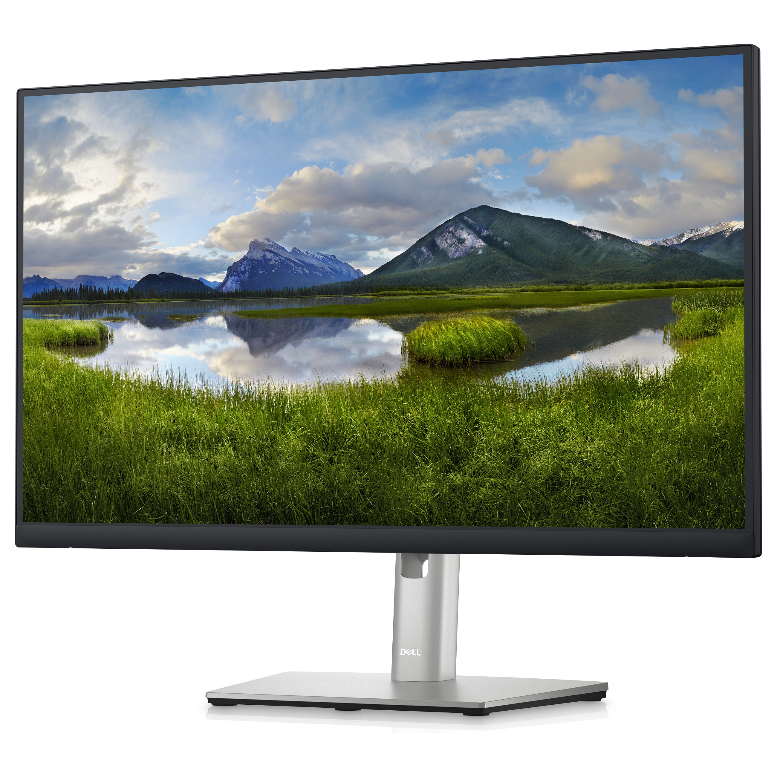 Monitor DELL Professional P2423D 24in (2560x1440, IPS, 8ms, 10001, HDMI, DP, USB 3.2)-6