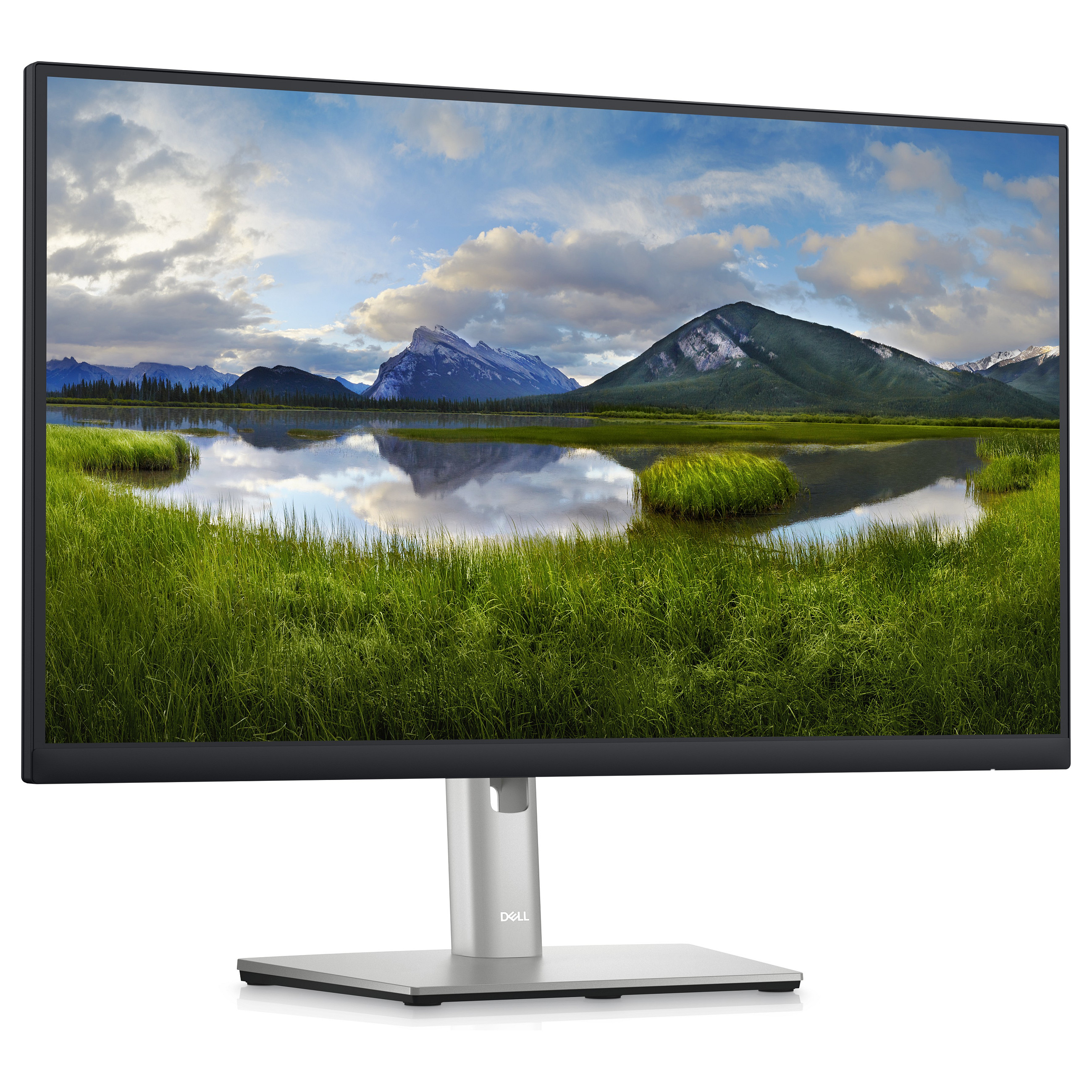 Monitor DELL Professional P2423D 24in (2560x1440, IPS, 8ms, 10001, HDMI, DP, USB 3.2)-7