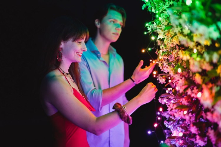 Svjetleći niz TWINKLY Strings - 250 RGB+W (prozirni kabel, tip utičnice F)-0