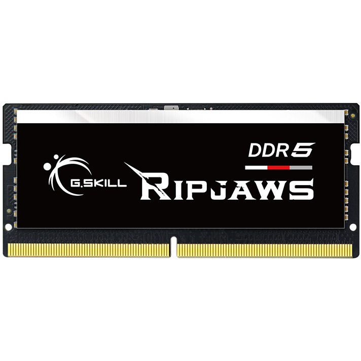 Memorijski modul G.SKILL Ripjaws F5-4800S4039A32GX1-RS (32 GB, DDR5, 4800 MHz, 1 x 32 GB, 1.1 V)-0