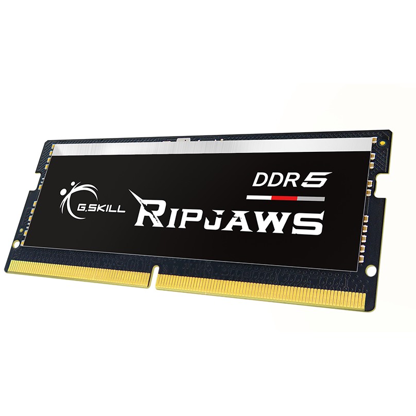 Memorijski modul G.SKILL Ripjaws F5-4800S4039A32GX1-RS (32 GB, DDR5, 4800 MHz, 1 x 32 GB, 1.1 V)-2