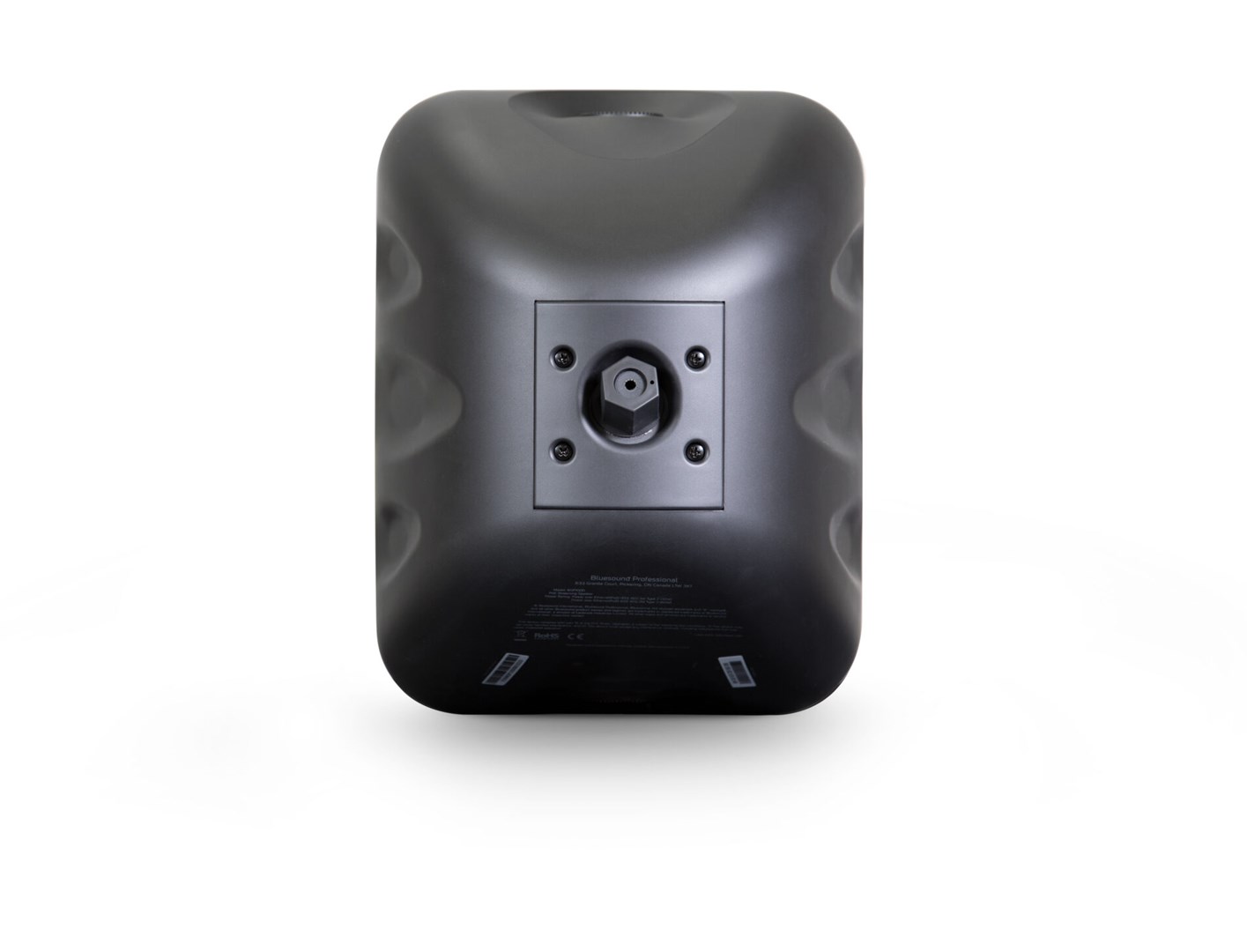ZVUČNIK BLUESOUND PROFESSIONAL BSP1000B (network streaming speaker, PoE+, IP65, black)-2