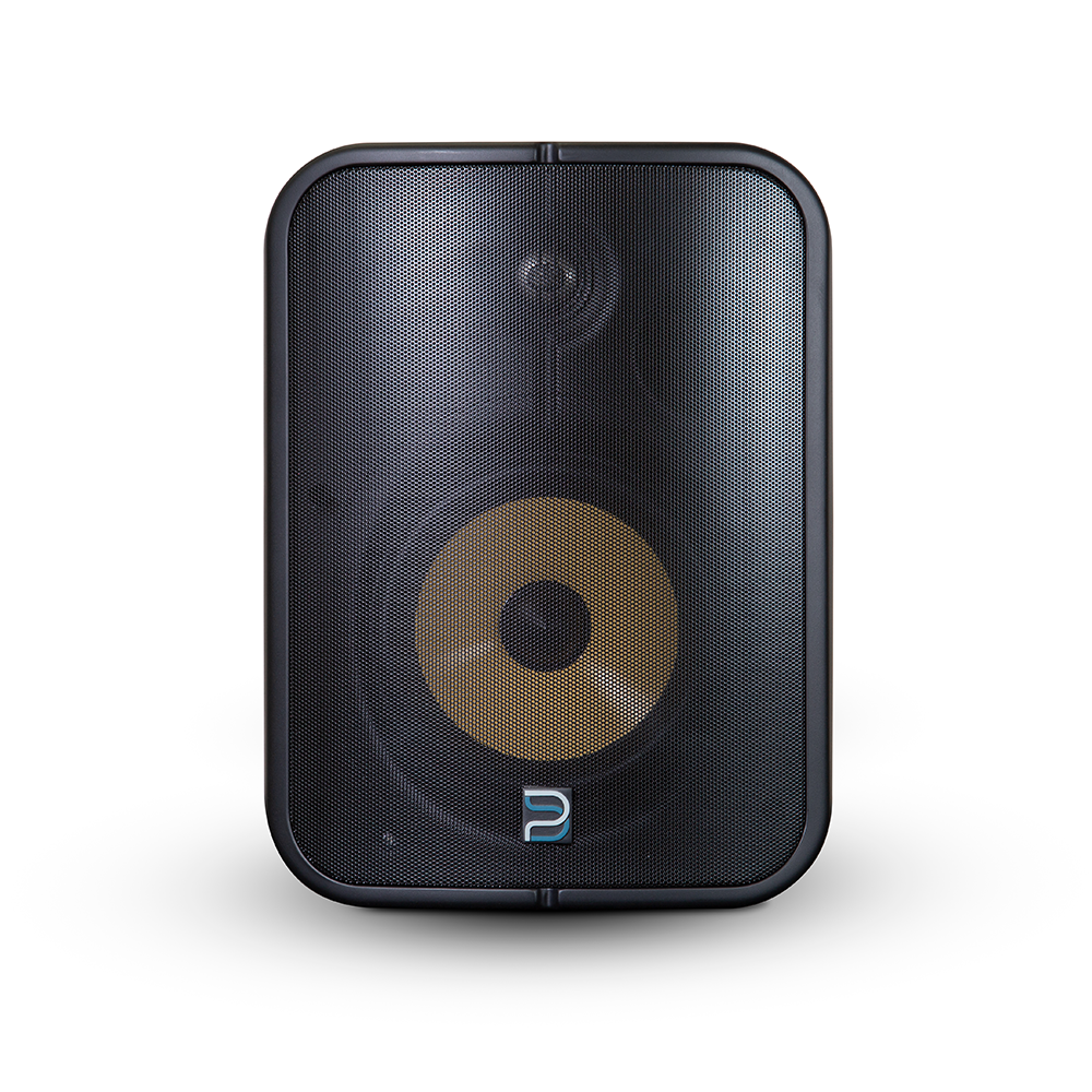 ZVUČNIK BLUESOUND PROFESSIONAL BSP1000B (network streaming speaker, PoE+, IP65, black)