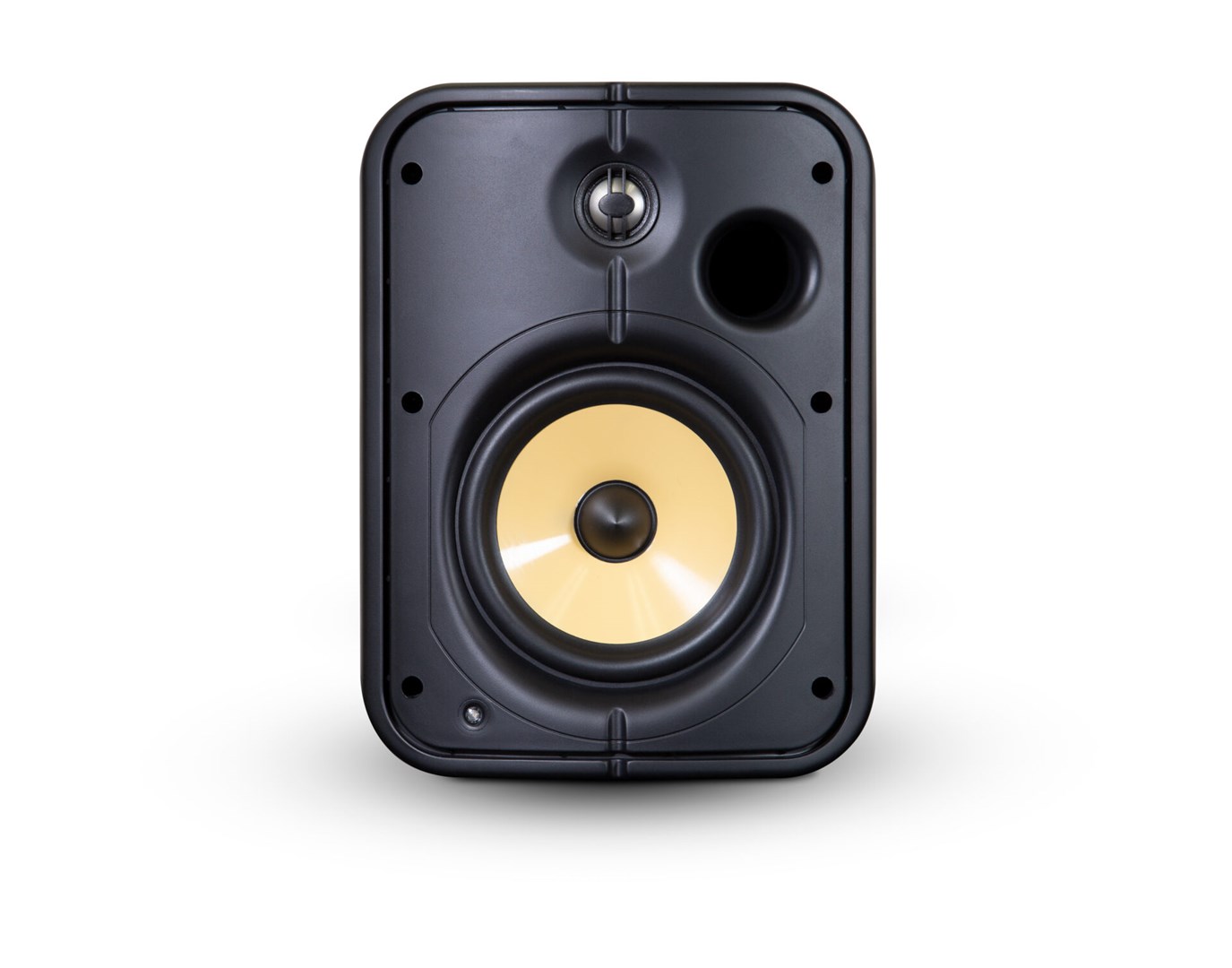 ZVUČNIK BLUESOUND PROFESSIONAL BSP1000B (network streaming speaker, PoE+, IP65, black)-1