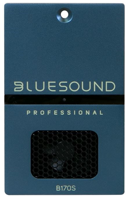 Pojačalo BLUESOUND PROFESSIONAL B170S (4-8 ohm, 80 W x 2, 110 dB SNR, 32 - 192 kHz)-0
