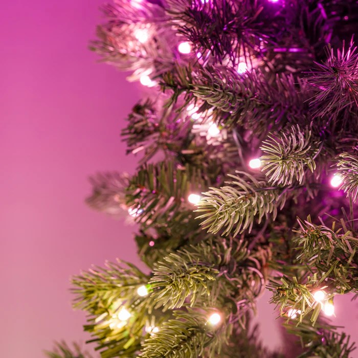 Wienac TWINKLY Wstępnie oświetlony 50 RGB LED 24" zeleni kabel-5